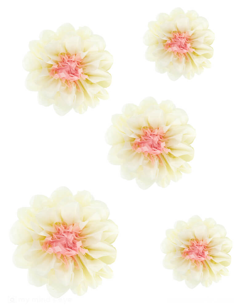 Momo Party's Tissue Paper Cream Flower Decorations by Party Deco. Comes in a set of 5 tissue decorations in 3 sizes, these darling flower decorations will transform any party into a whimsical wonderland. Perfect for tea parties, garden parties, Easter celebrations, bridal and baby showers, or any fairy themed event. Add a touch of beauty and charm to your decorations!