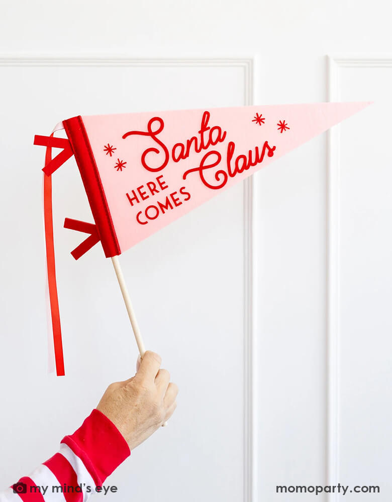 A lady in her red striped shirt holding Momo Party's pink whimsy Santa felt pennant banner by My Mind's Eye.