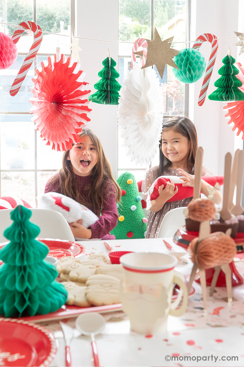 Christmas Honeycomb Garland
