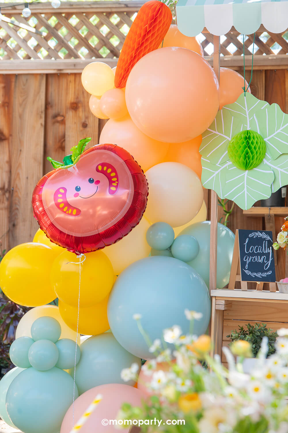 Farmer's Market Balloon Cloud Kit