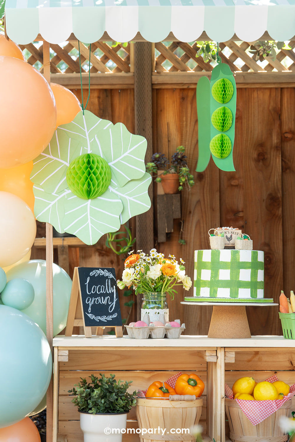 A children's farmer's market themed party outdoor setting in a garden by Momo Party with a mini wooden market stall adorned with balloons and veggie honeycomb hanging decorations including green pees and a lettuce. On the wooden surface, there's a cake with green gingham design, sweet treats in an egg carton, flowers, and baskets filled with fruits and vegetables. This adorable set up makes a cute kid's birthday party or a baby shower.