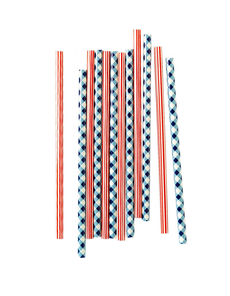 Momo Party's SSP926 - PLAID AND STRIPES REUSABLE STRAWS by My Mind's Eye. Included are 6 red stripe straws and 6 blue gingham straws that are the perfect addition to your star spangled concoctions.