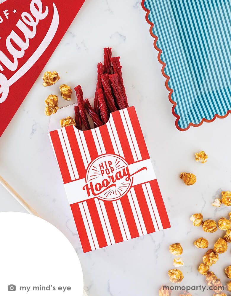 Stars and Stripes Treat Bags (Set of 8)