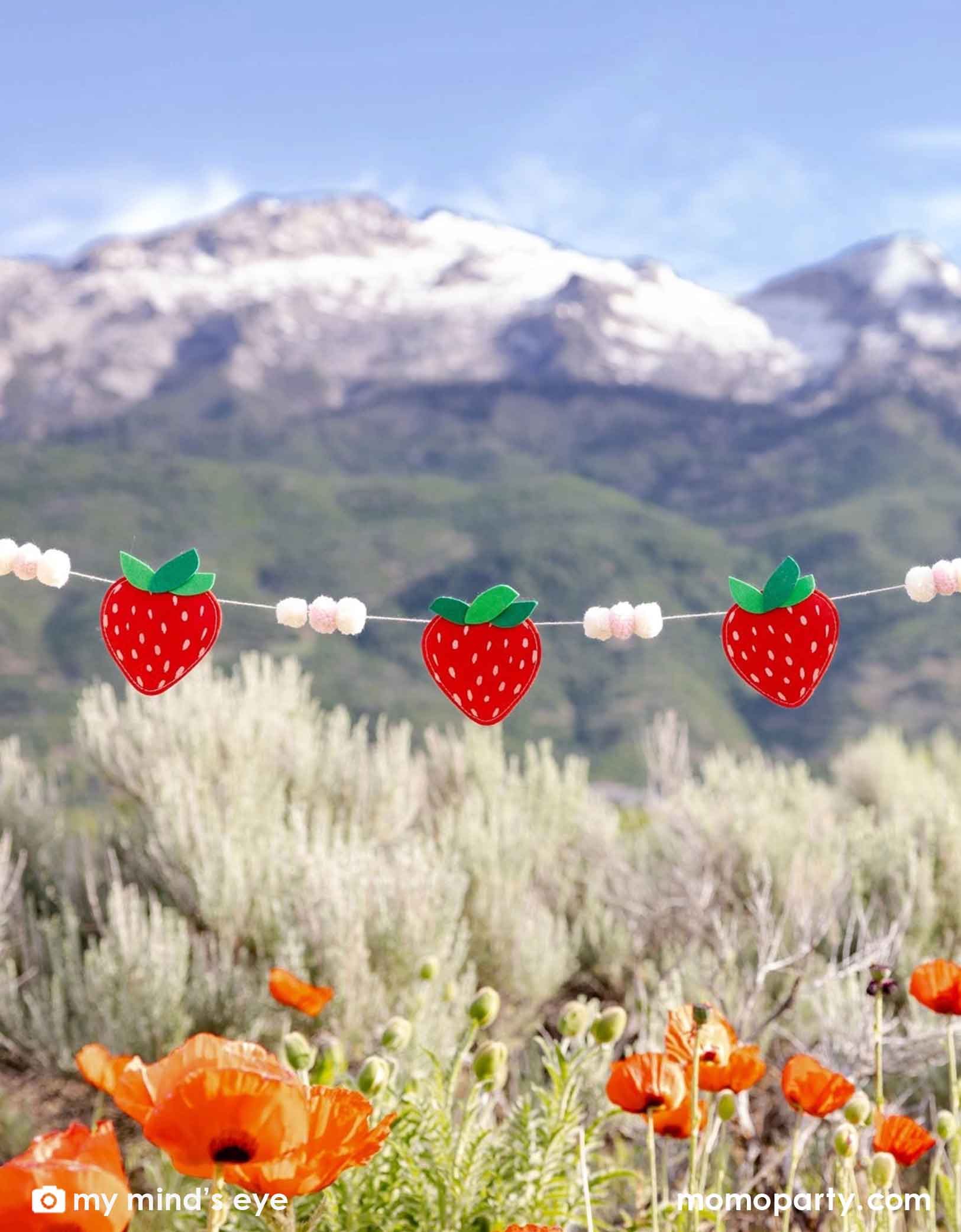 Momo Party's 7ft Strawberry felt banner with mountains and flowers in the background.