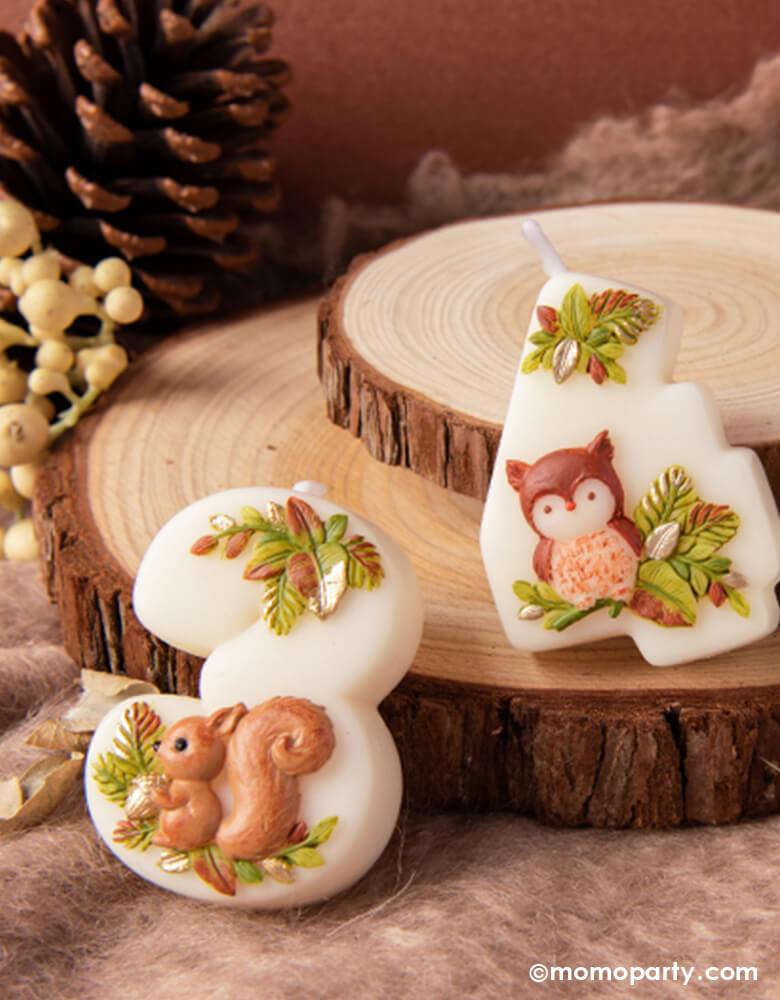 Two adorable woodland themed kid's number birthday candles from Momo Party, one with a cute squirrel design in number 3 and the other with owl design in number 4. Around the candles are a few wood slice trays and some decorative cotton and pine cones giving some natural autumn vibes. These charming candles are perfect for kid's woodland themed birthday party celebration.