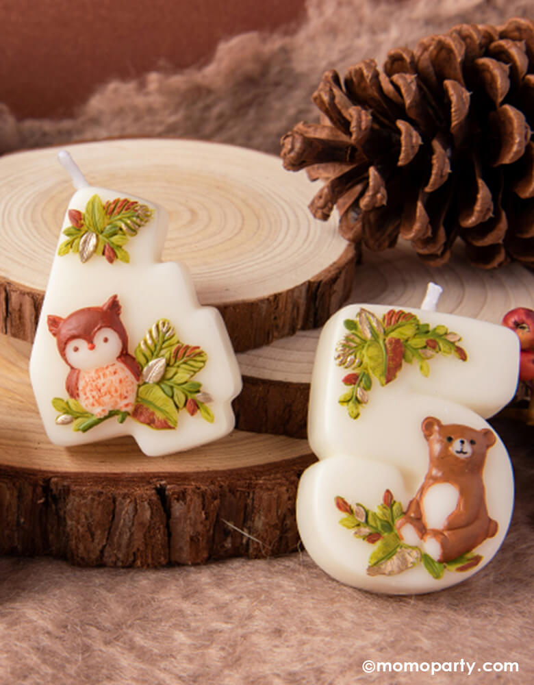 Two adorable woodland themed kid's number birthday candles from Momo Party, one with a cute owl design in number 4 and the other with bear design in number 5. Around the candles are a few wood slice trays and some decorative cotton and pine cones giving some natural autumn vibes. These charming candles are perfect for kid's woodland themed birthday party celebration.