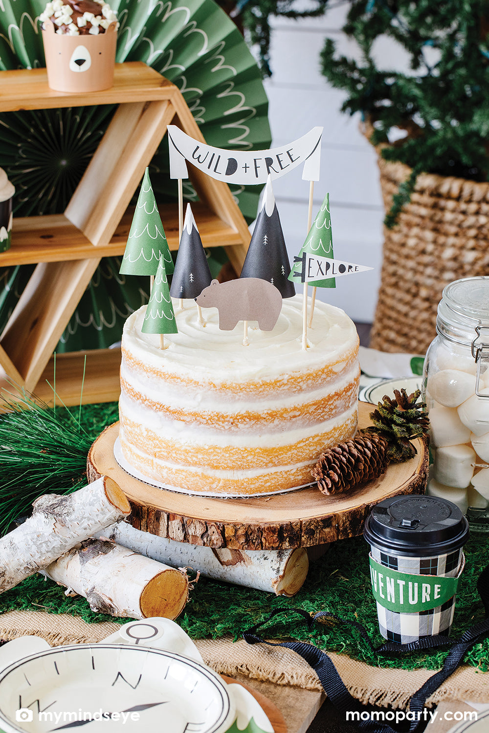 Adventure Compass Shaped Plates (Set of 8)