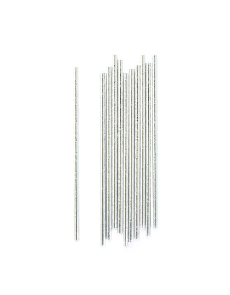 Silver Foil Party Straws (Set of 24)