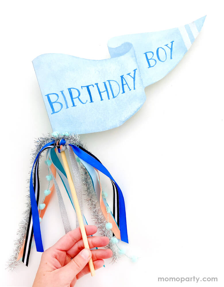 Birthday Boy Party Pennant