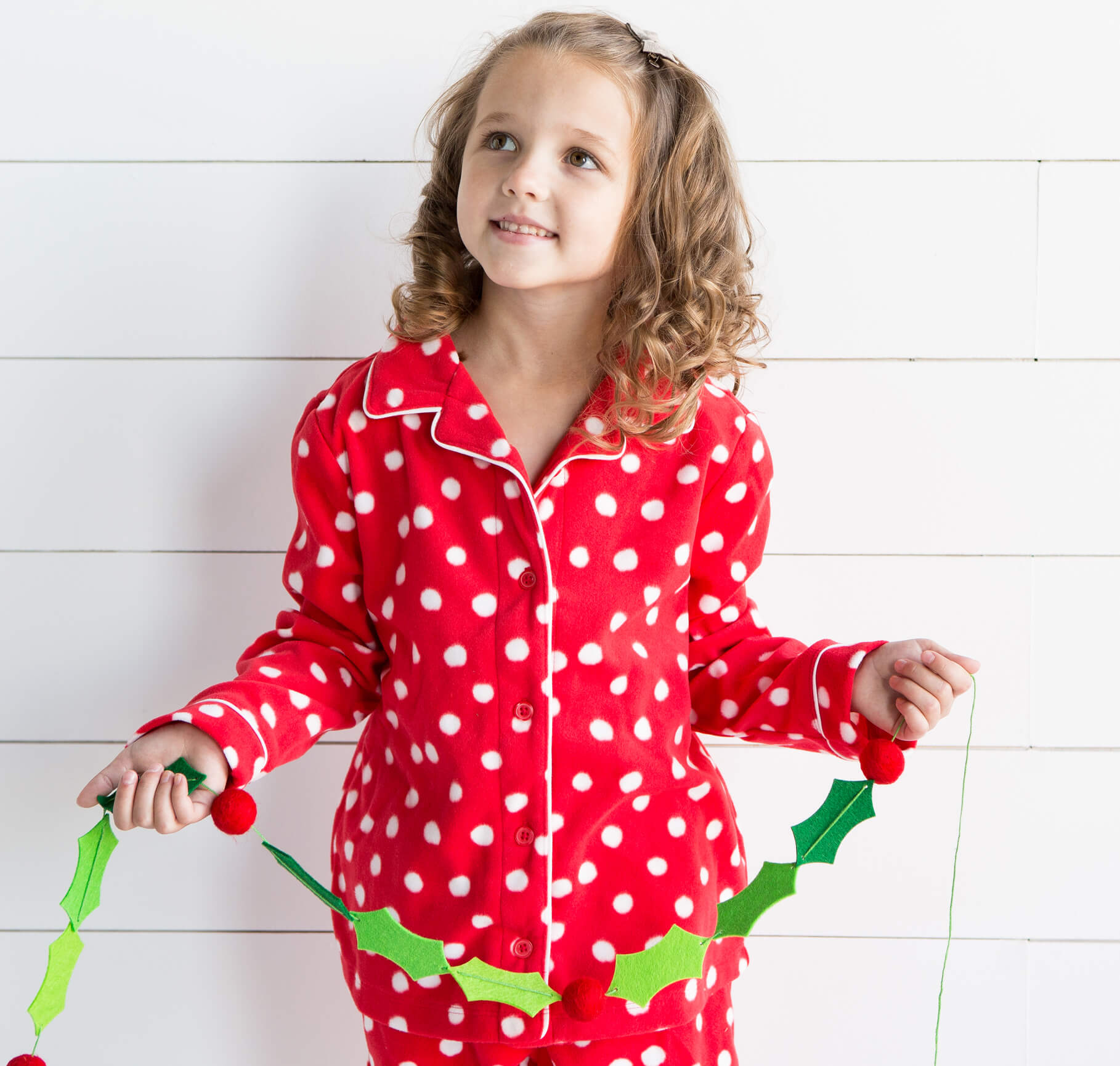 Holly And Berries Felt Banner