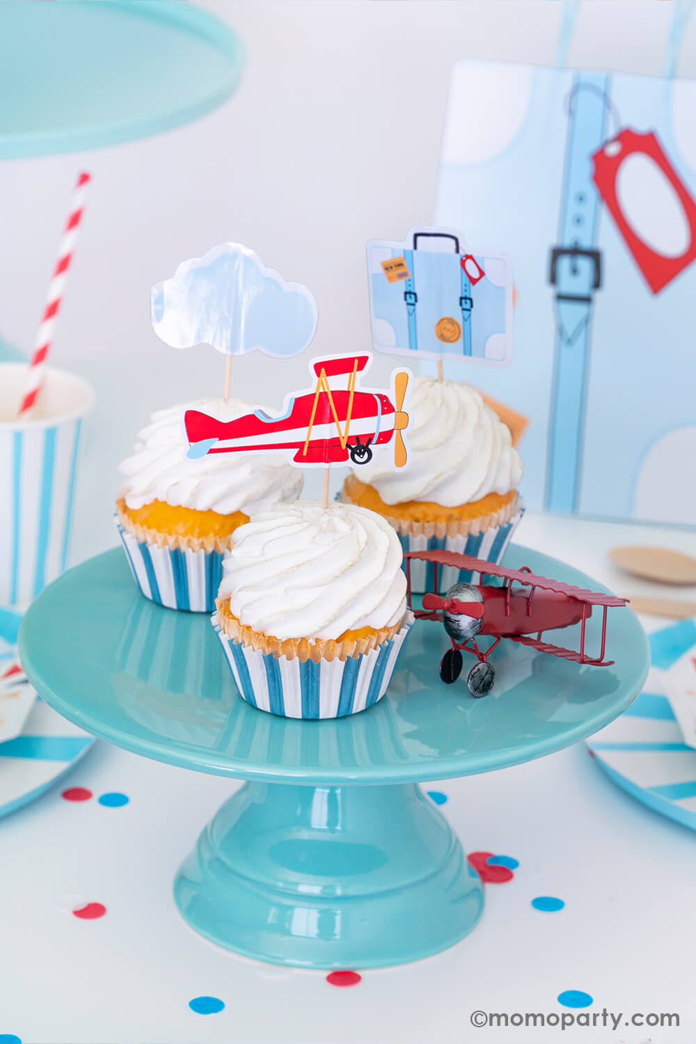 Airplane Toppers (Set of 12)