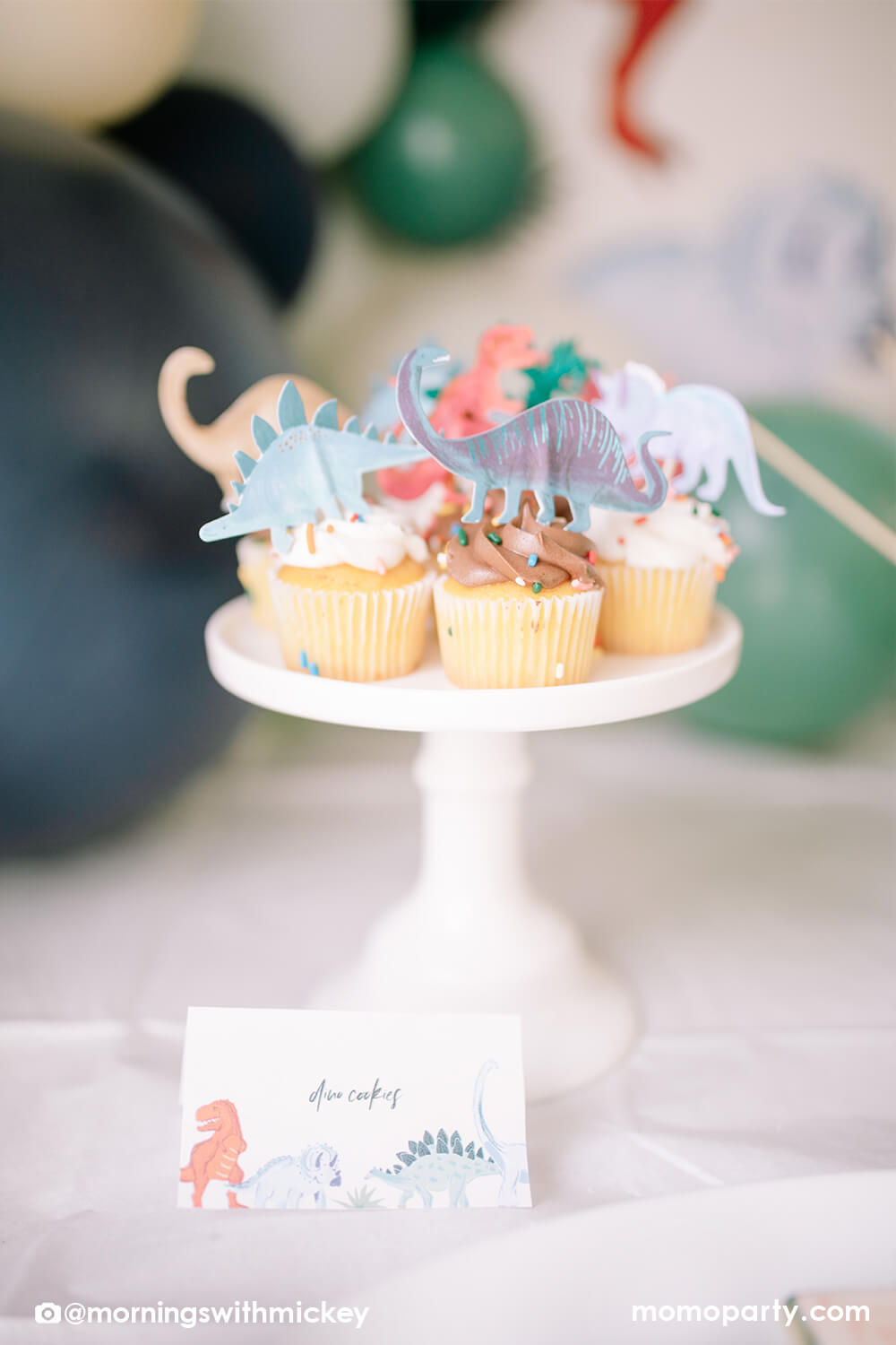 Dinosaur Kingdom Cupcake Kit