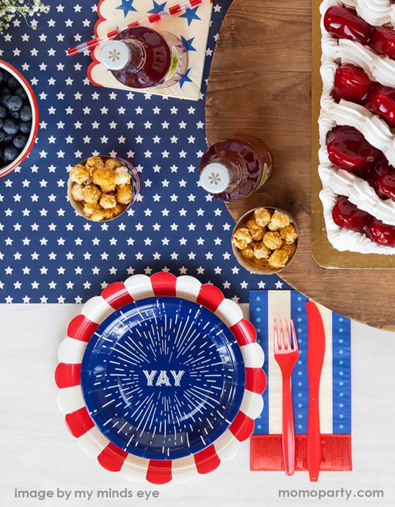 Stripes With Fringe Guest Towel Napkins (Set of 24)