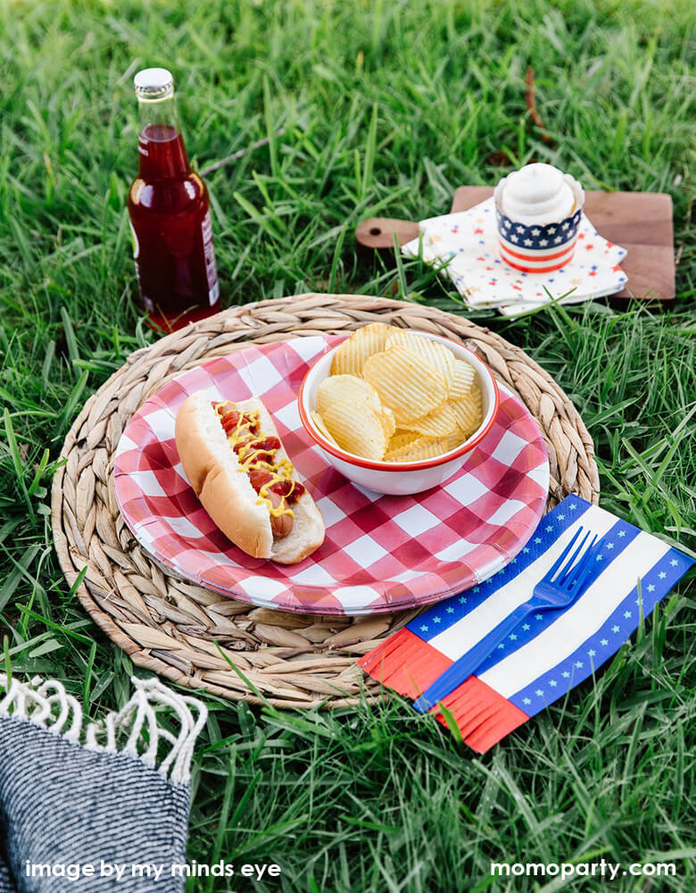 Stripes With Fringe Guest Towel Napkins (Set of 24)