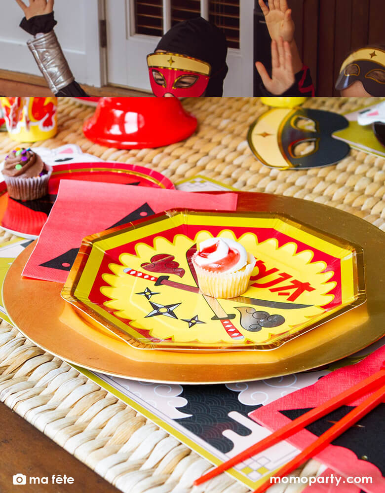 Ninja Dinner Plates