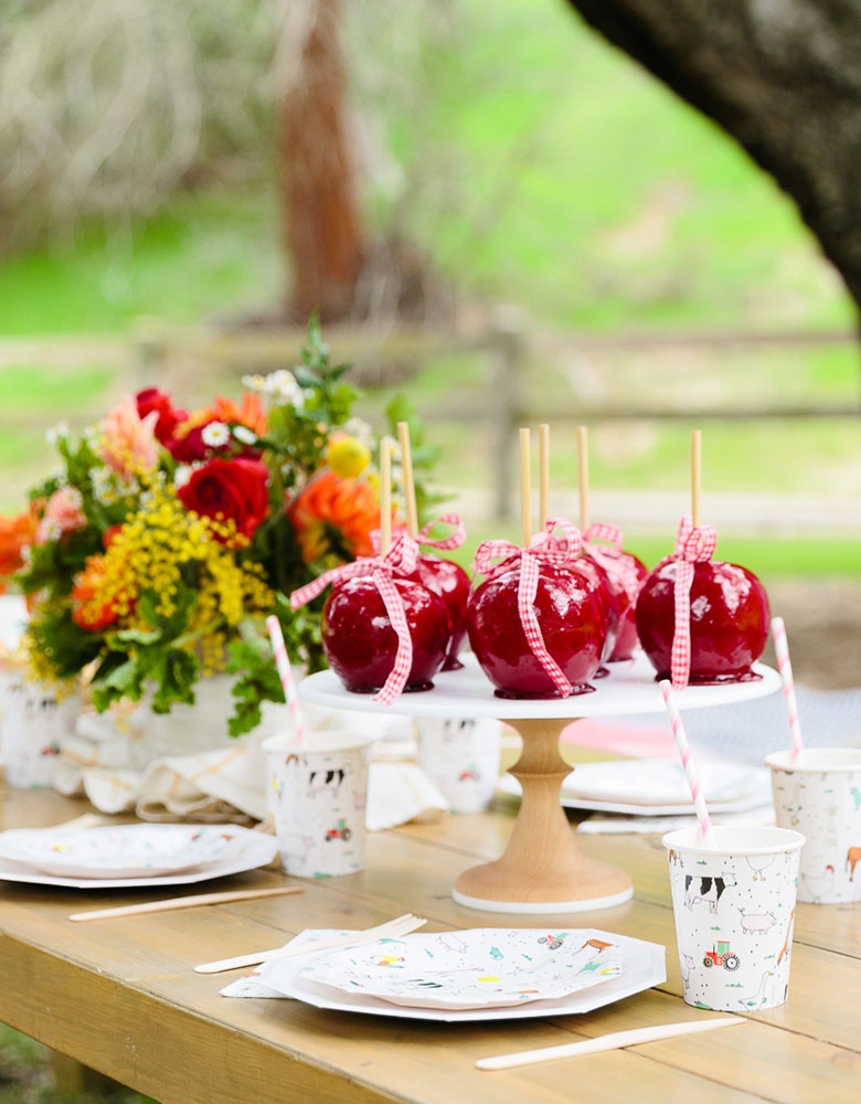 On-The-Farm-Cups_Kids Barnyard Party Ideas