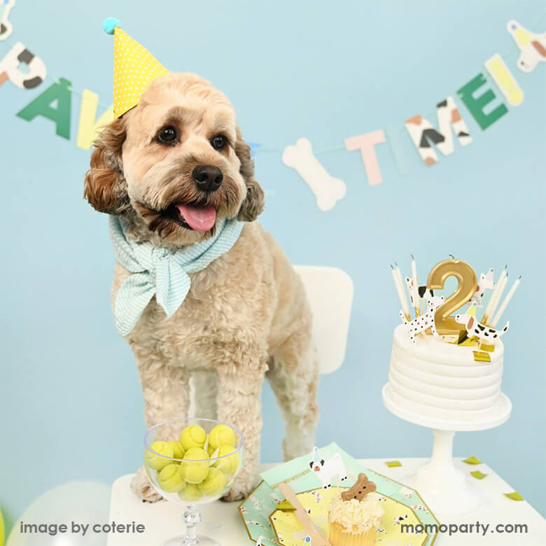 Pawty Time Banner