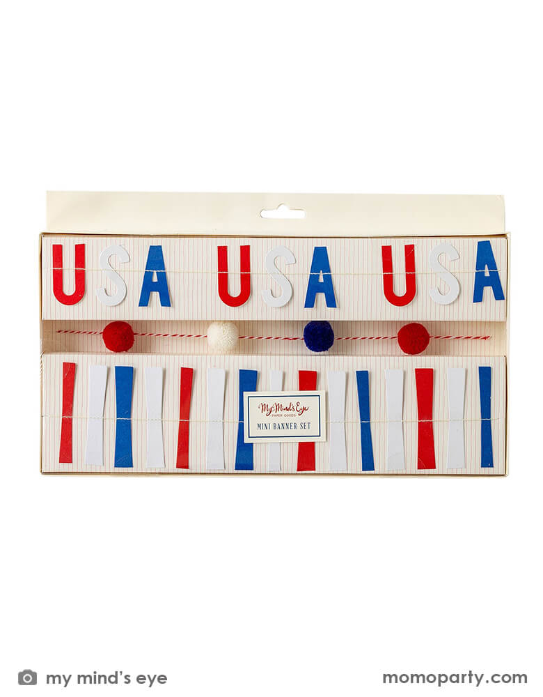 Stars and Stripes Ticker Tape Mini Banner Set