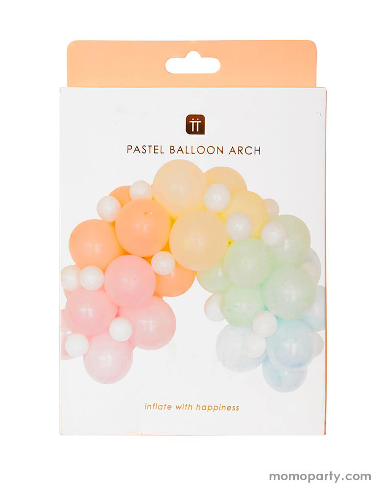 Pastel Balloon Arch Kit