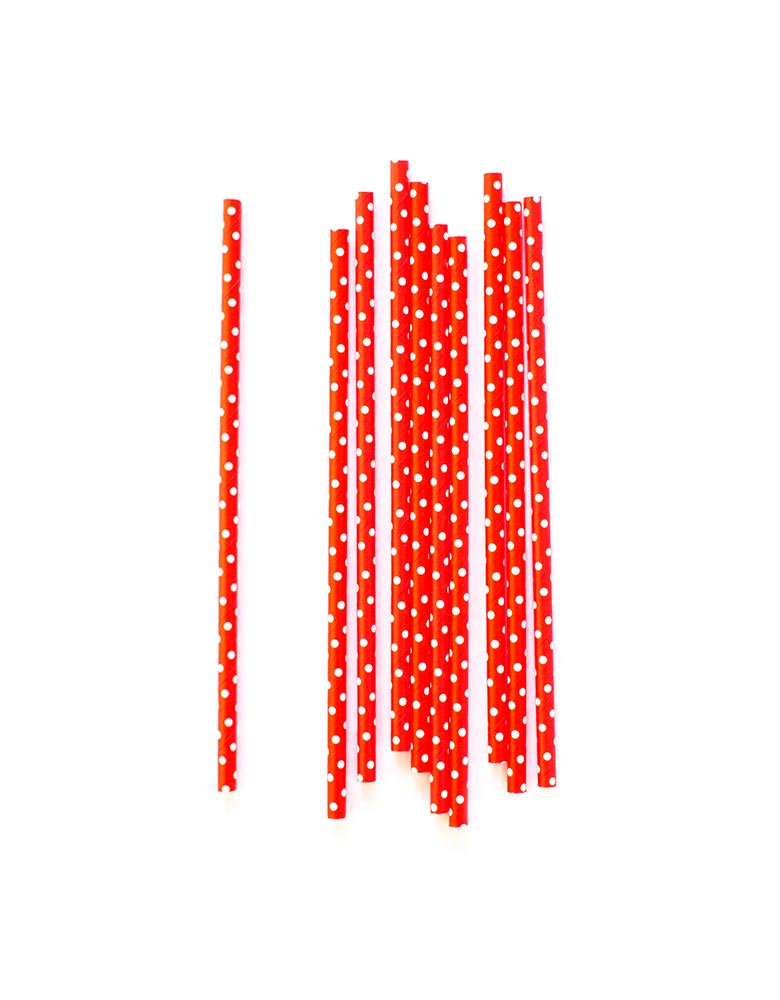 Red Swiss Dot & Gold Foil Party Straws Set (Set of 24)