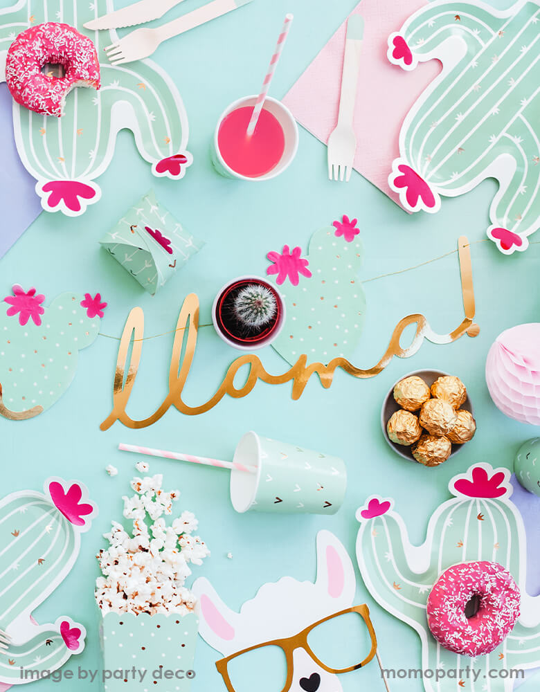 Cactus Favor Boxes (Set of 10)