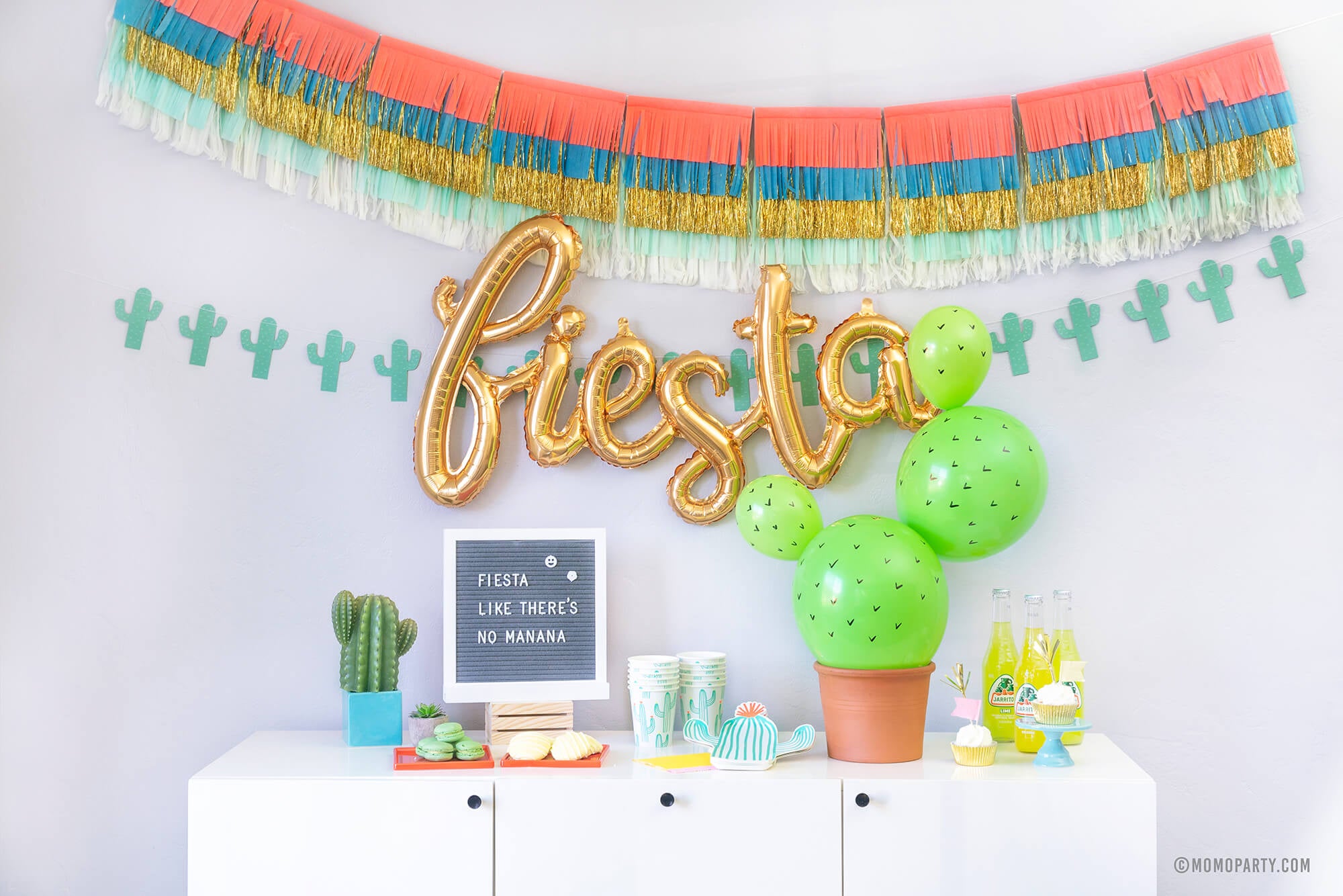 Cactus Balloon Decoration DIY
