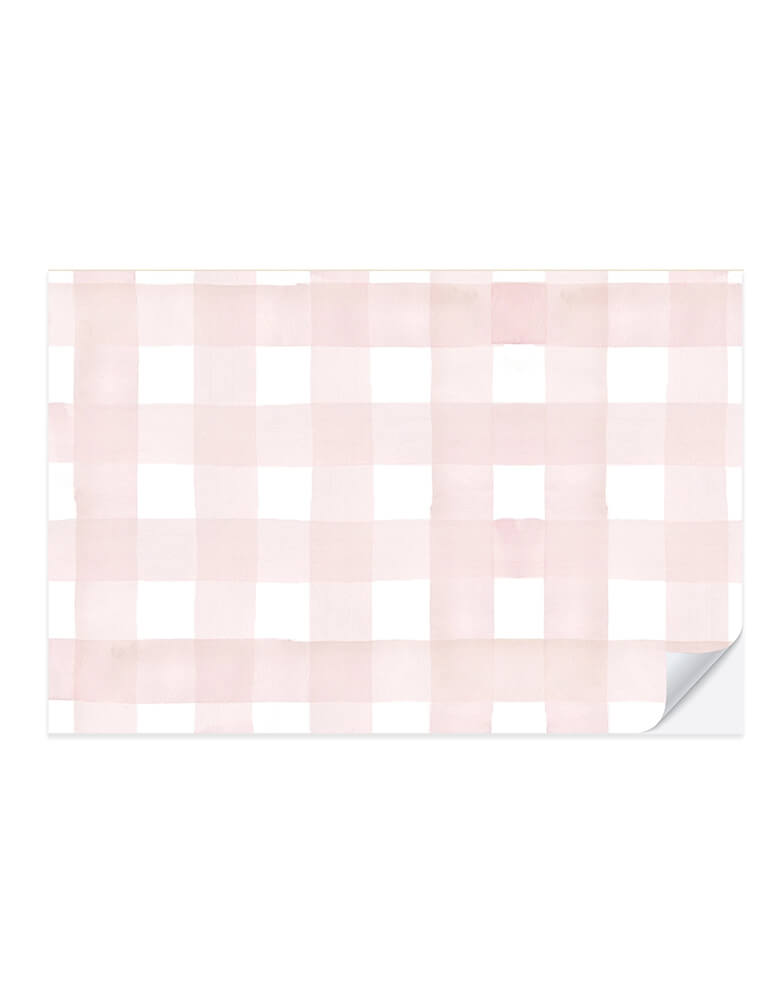 Momo Party's 18" x 12" Blush Gingham Placemats by Cami Monet. Comes in a set of 25, these darling blush gingham checkered placemats are perfect for an Easter celebration or any girly birthday parties!