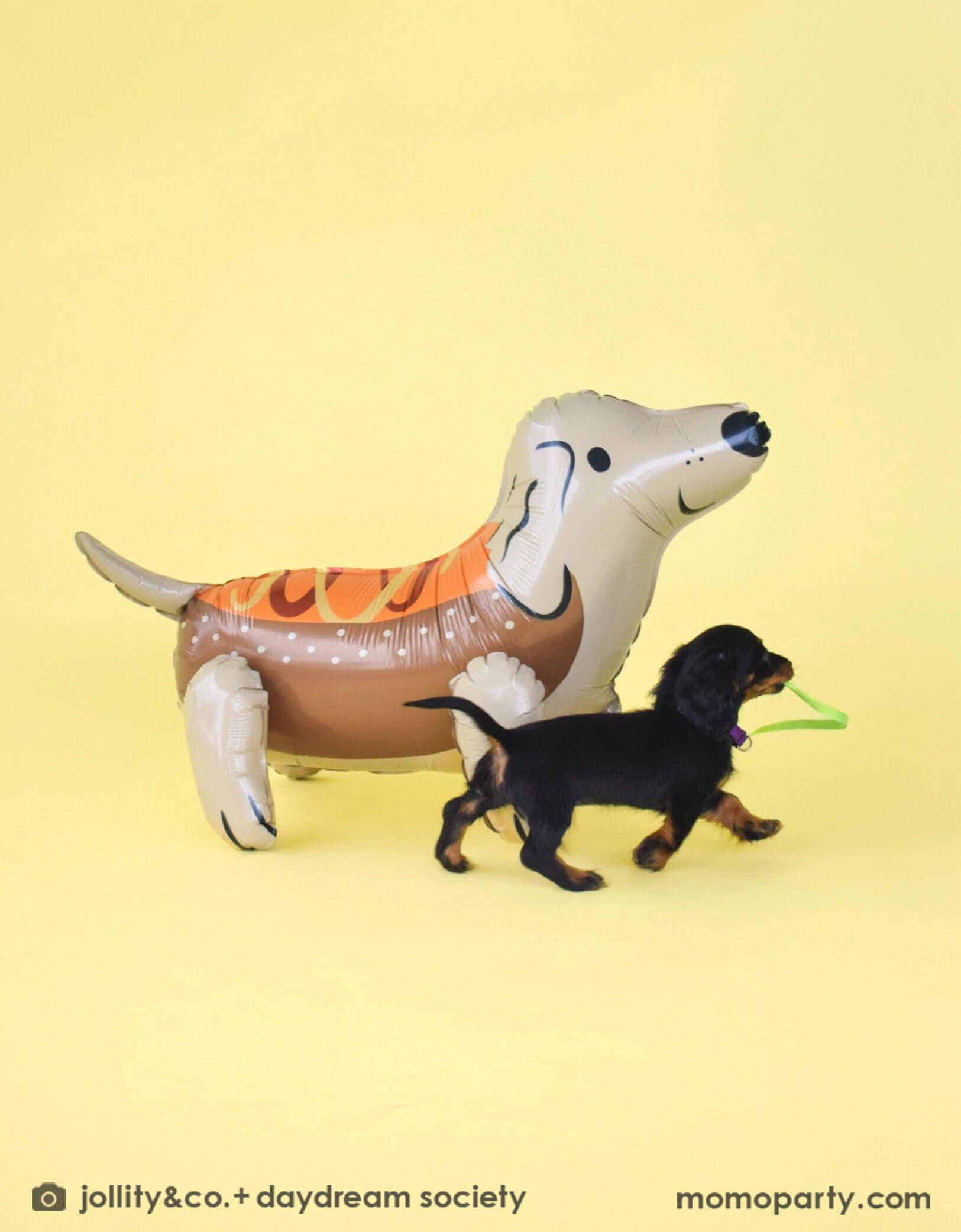 Momo Party's 26.8" x 16.5" x 12.6" Dachshund Dog-shaped foil balloon balloon with a hot dog costume by Daydream Society with a small black Dachshund dog on a yellow background.