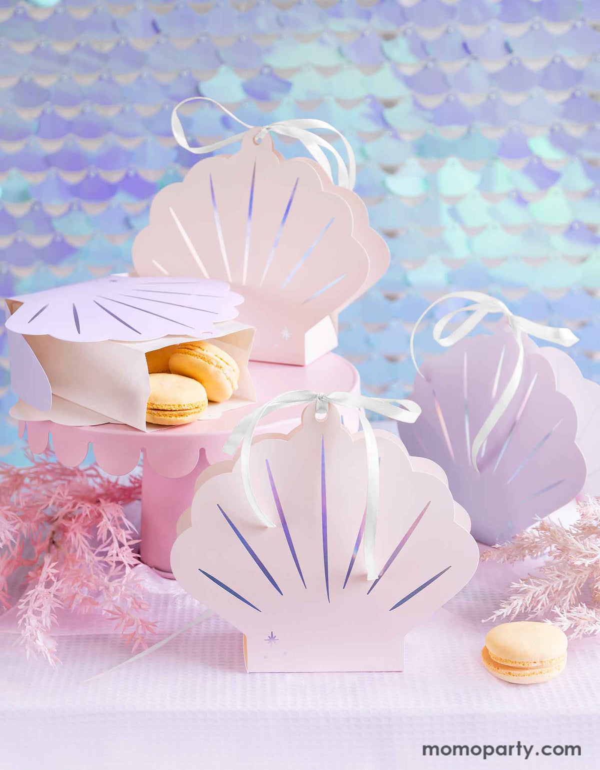 Seashell Treat Boxes (Set of 4)