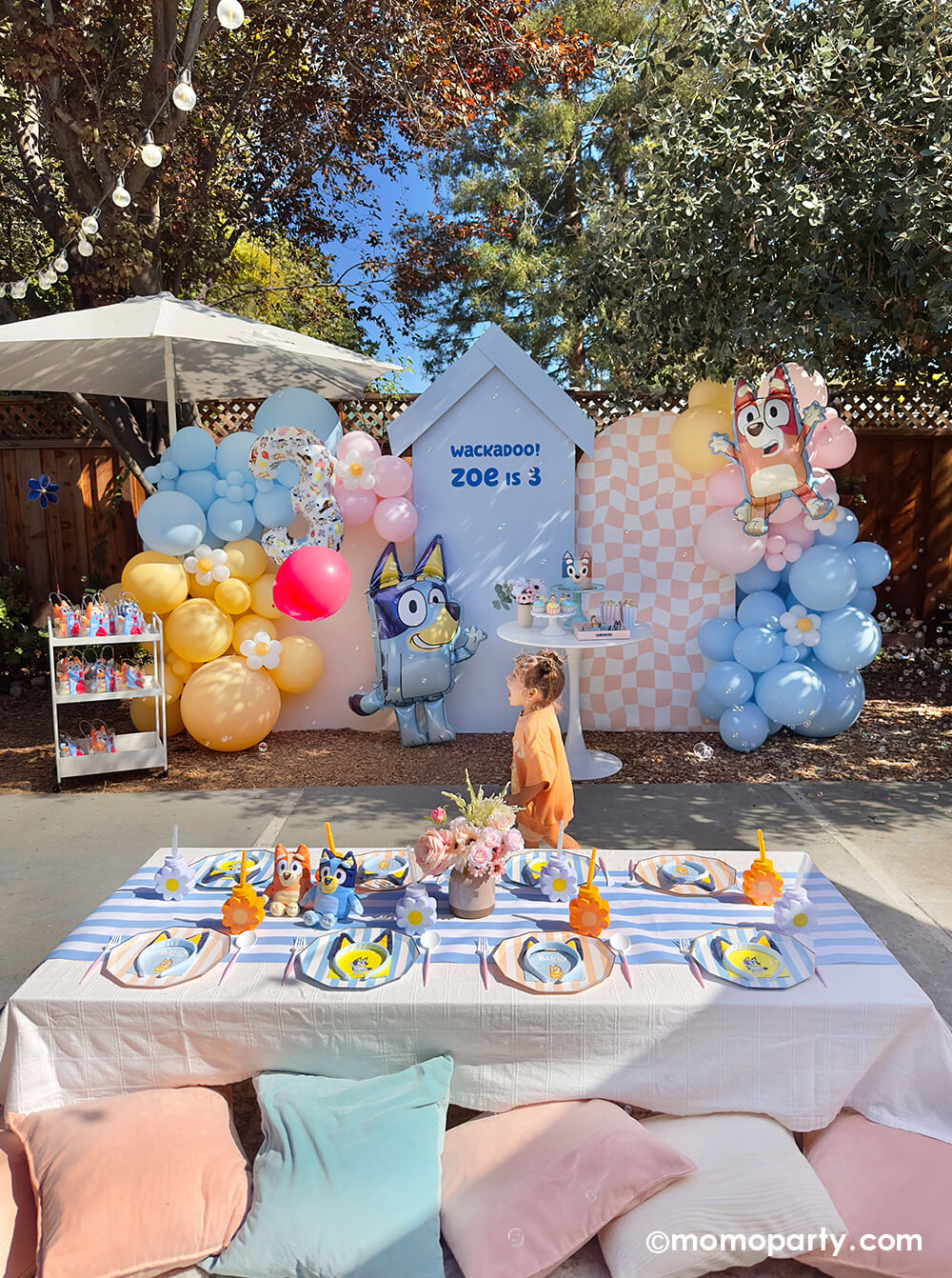 Pastel Bluey Balloon Cloud Kit