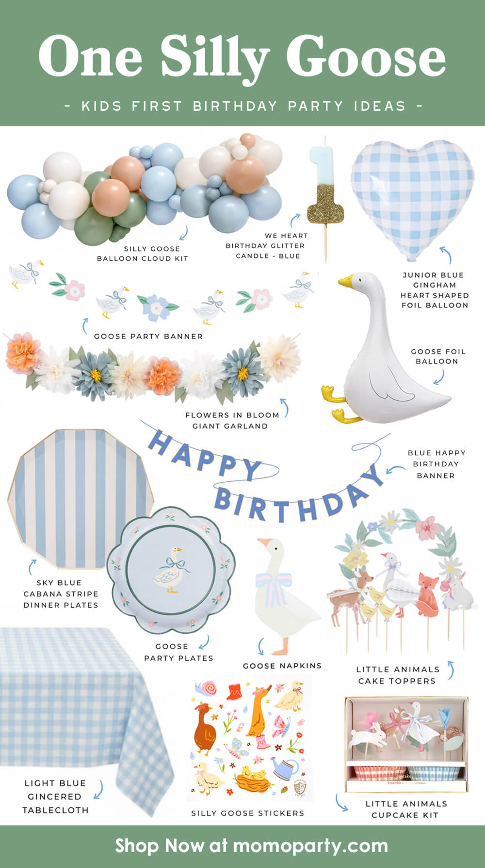 Silly Goose Balloon Cloud Kit