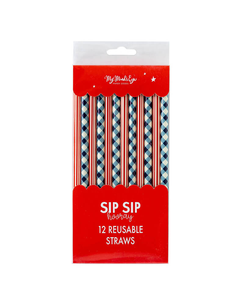 Plaid and Stripes Reusable Straws (Set of 12)