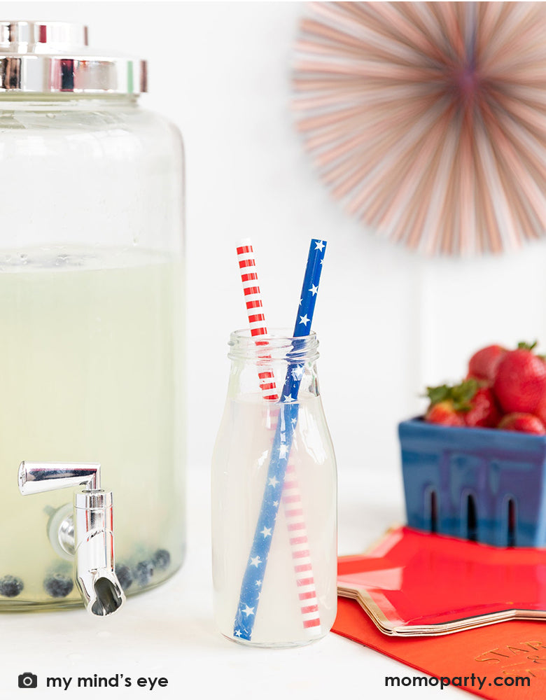 Red/White and Blue Reusable Straws (Set of 12)