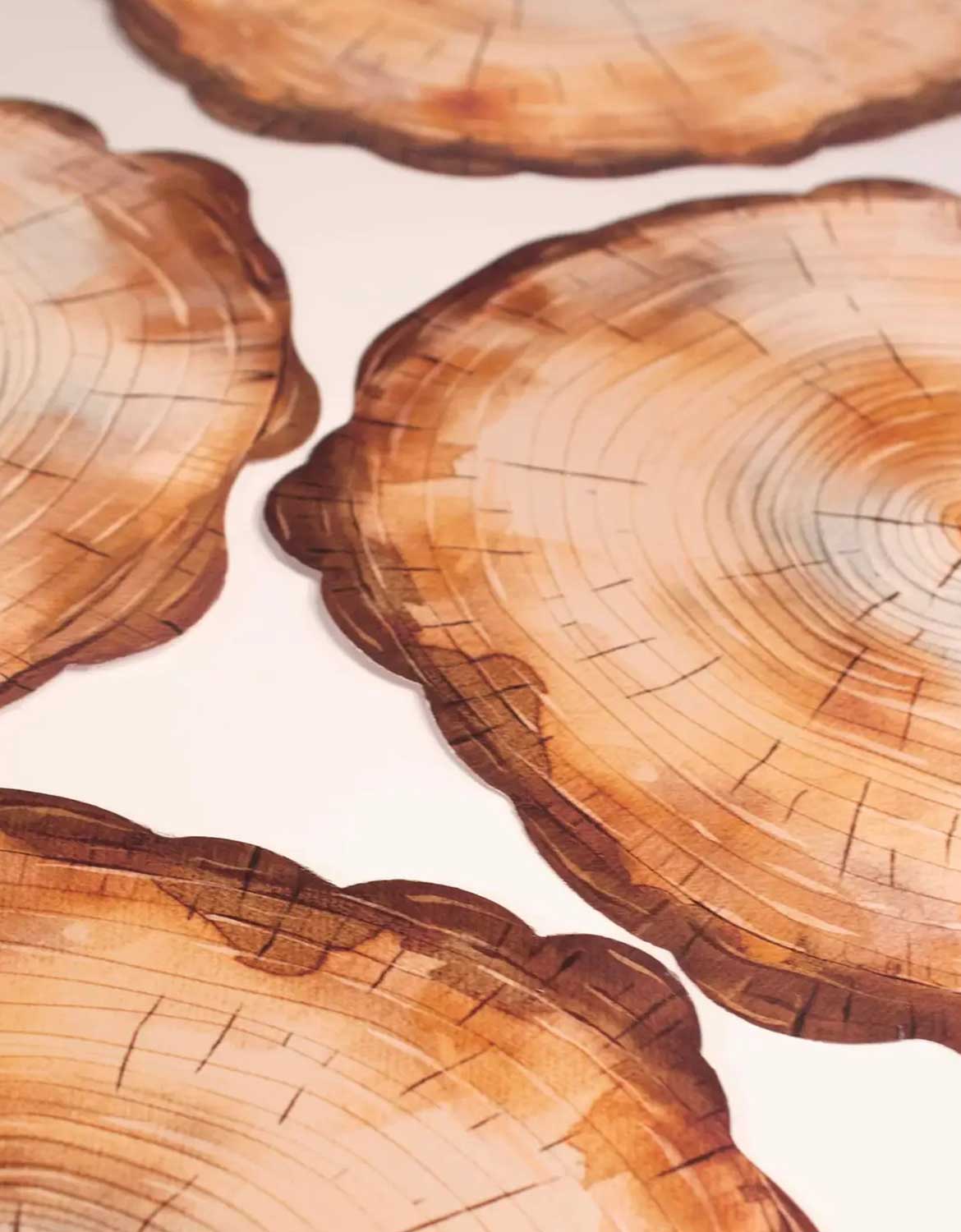 Close-up of tree rings on Momo Party's wooden slice party placemats against a light background.