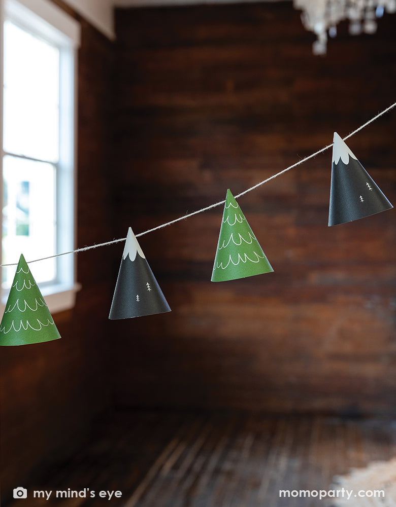 Adventure Mountain and Tree Cone Banner