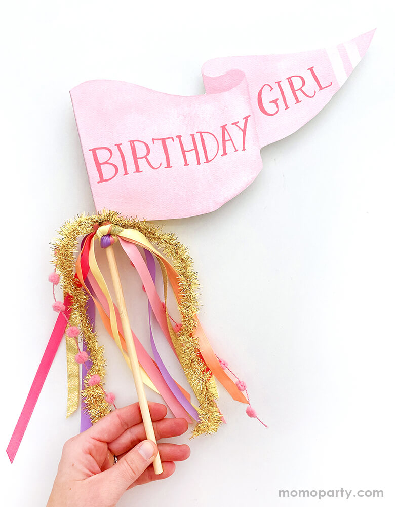 Birthday Girl Party Pennant