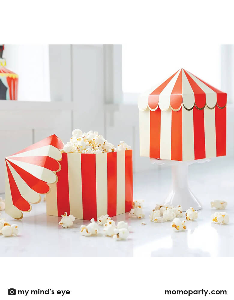 Carnival Tent Favor/Treat Boxes (Set of 8)