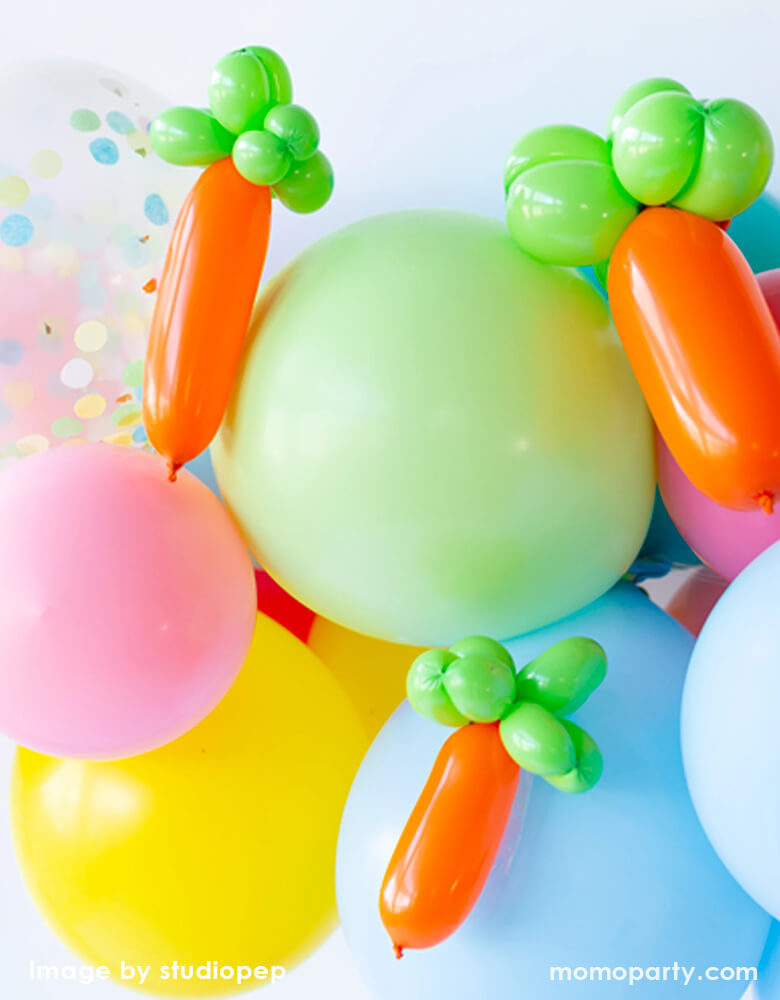 Carrot Balloon Animal Kit