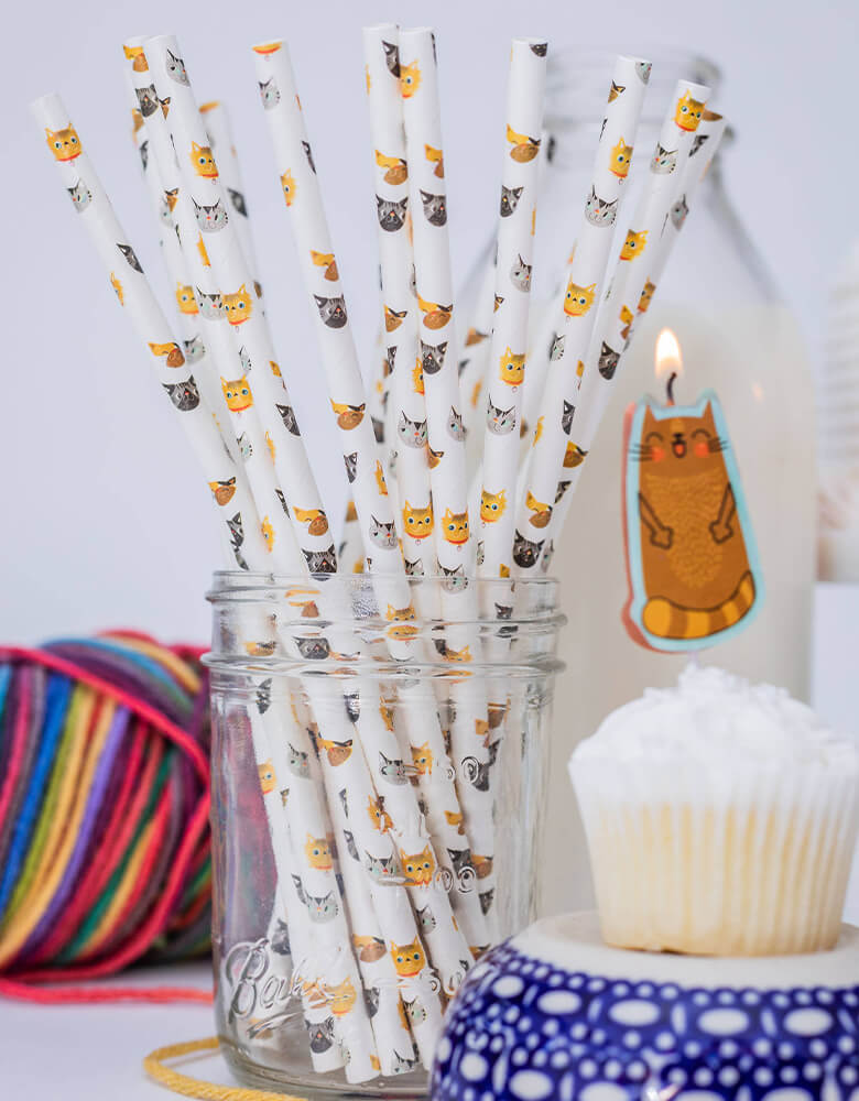 Party Partners Cute Kitten Party Paper Straws for a Cat themed Celebration with cupcakes and birthday candle with cat design