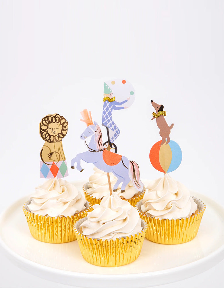 Alice in Wonderland Birthday Party Decoration,Include Alice Happy Birthday  Banner, Cake Toppers, Cupcake Toppers, Latex Balloons for Alice in