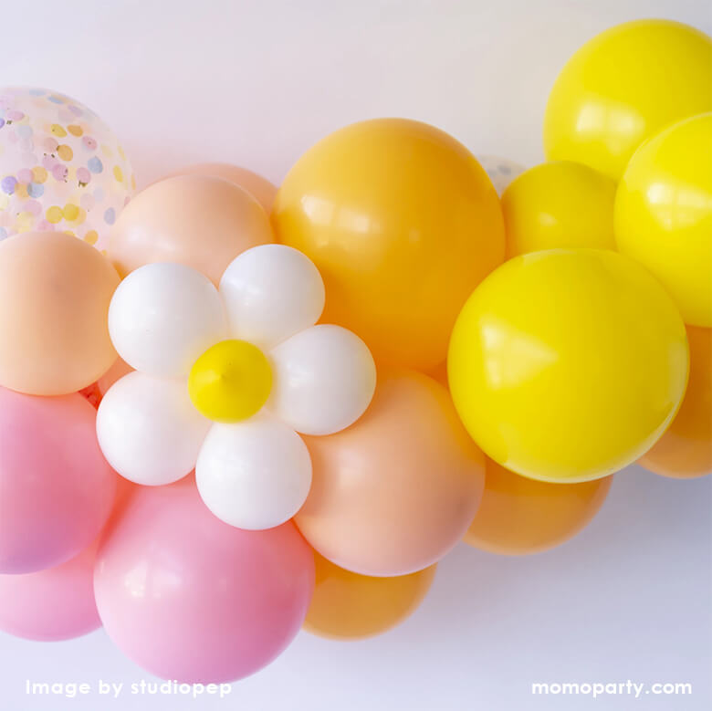 Daisy Balloon Animal Kit