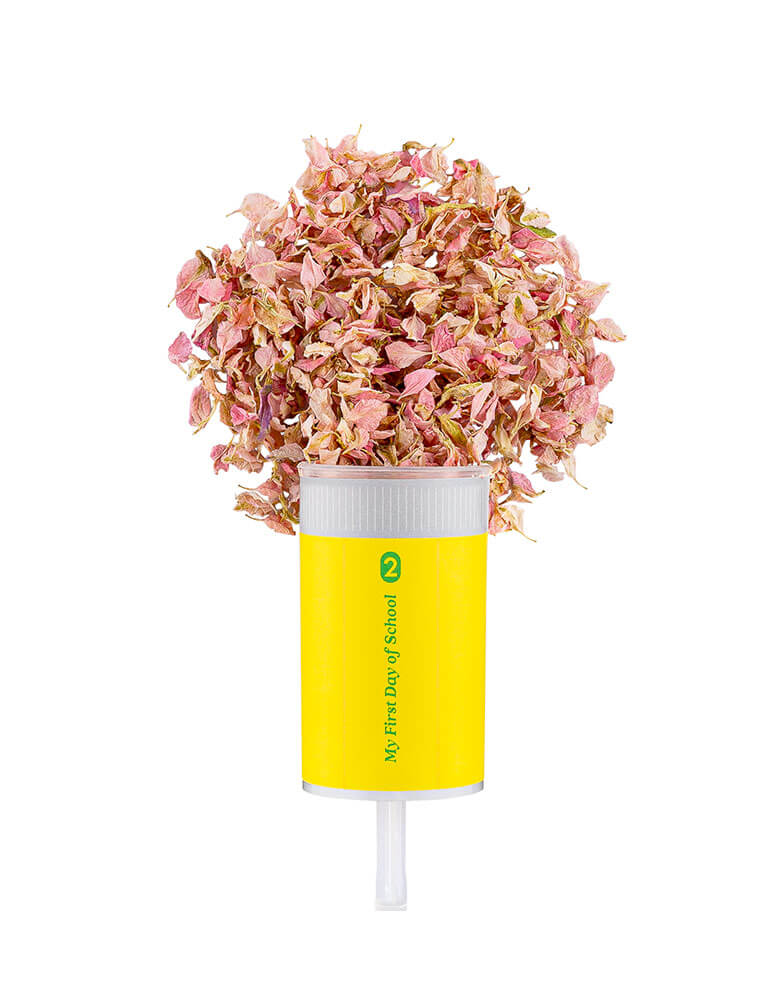 Studiopep first day of school pencil confetti popper with Light pink delphiniums petals 