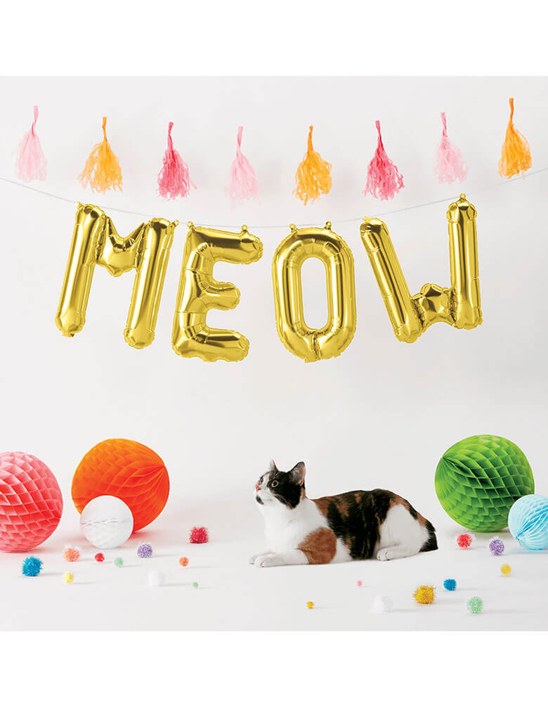 A cat in a cat-themed party with Northstar 16" MEOW Gold Mylar Balloons spelled out in the backdrop along with festive tassels and decorations 