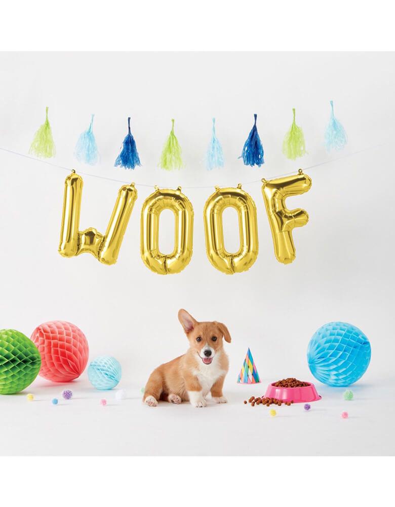 A corgi dog in a dog-themed party with Northstar 16" Woof Gold Mylar Balloons spelled out in the backdrop along with festive tassels and decorations 