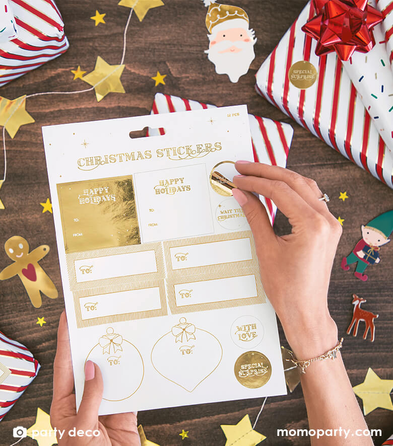 Santa & Elf Gift Tags (Set of 12)