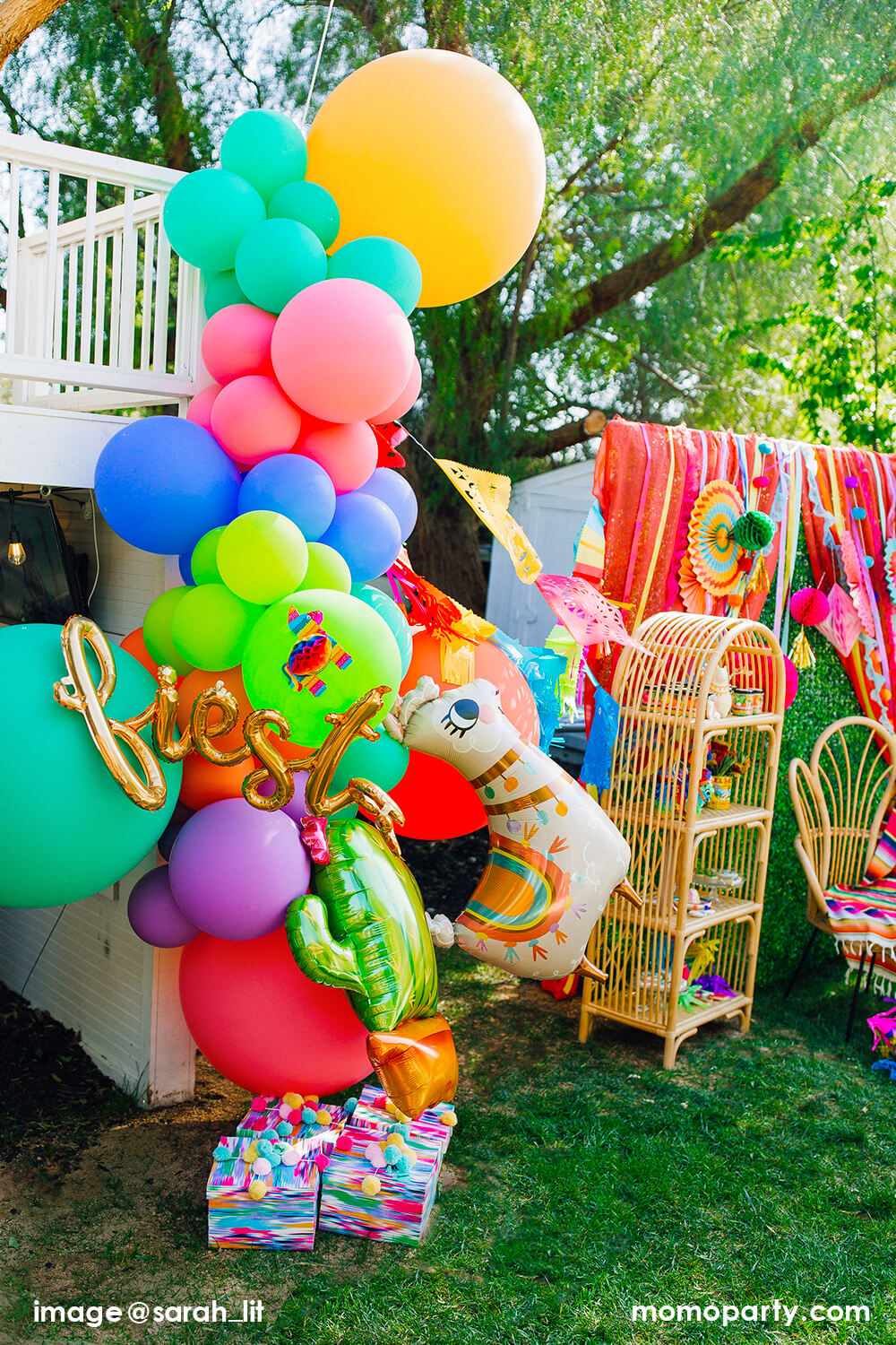 Potted Cactus Foil Mylar Balloon