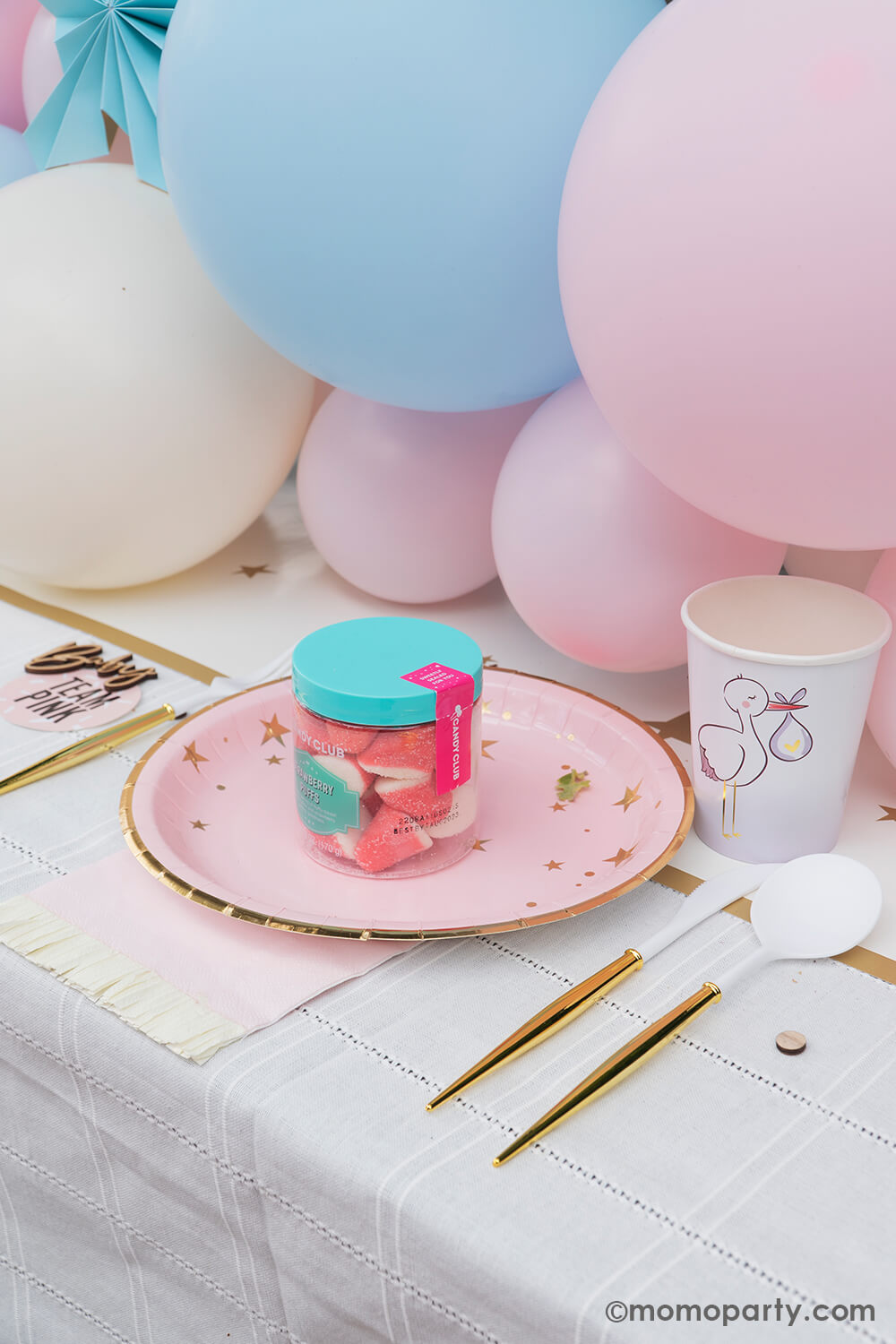 A gorgeous gender reveal party featuring pastel pink and blue decorations, balloons and tableware including My Mind's Eye Baby star plates, pink fringe napkins, stork cups by Slant Collection, and Sophistiplate Bella gold reusable cutlery