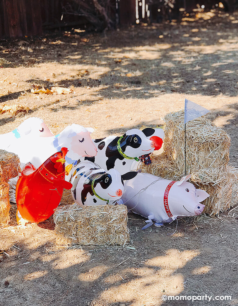 A bunch of My Own Pet Air Walker Foil Balloons like cow, sheep, pig and chicken inside pale of decorative Straw Hay Bales in the backyard, these unique balloon designed just like a real farm animals. So fun for decorated and activities for a Kid Farm themed birthday party