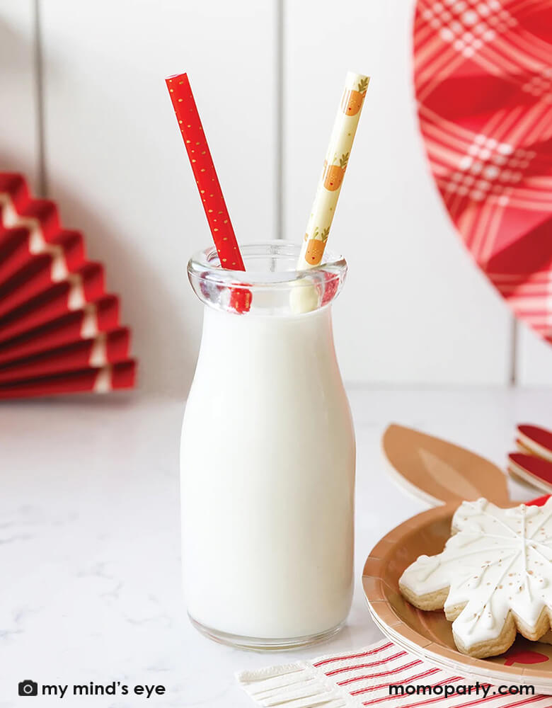Reindeer Reusable Straws (Set of 12)