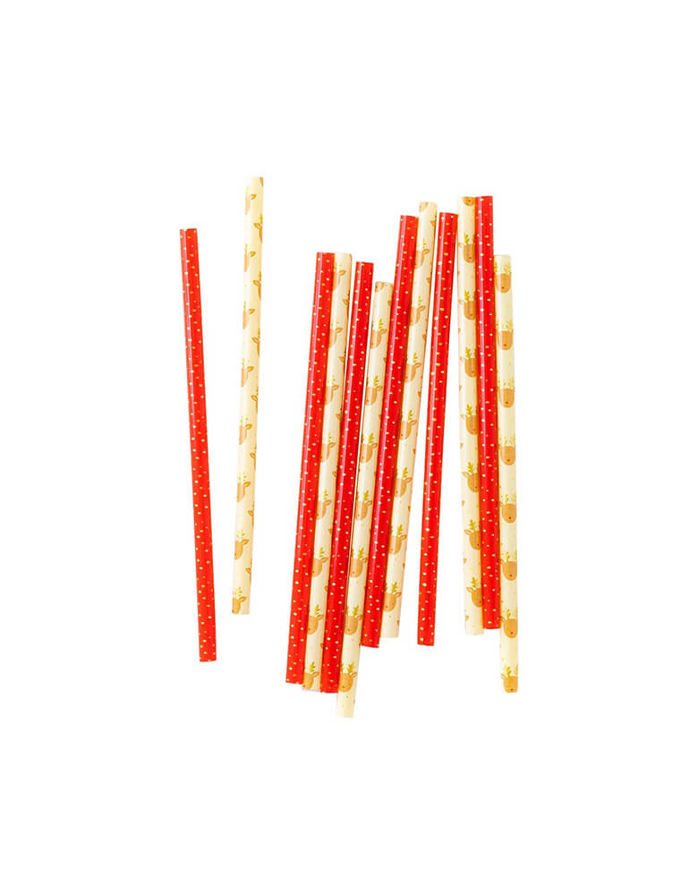 Reindeer Reusable Straws (Set of 12)